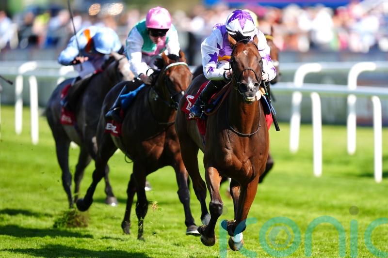 Kinross collects Park prize once more at Doncaster