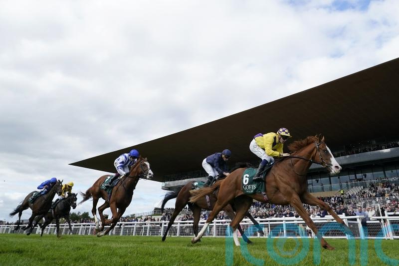 Seagulls Eleven will stay on Group One path