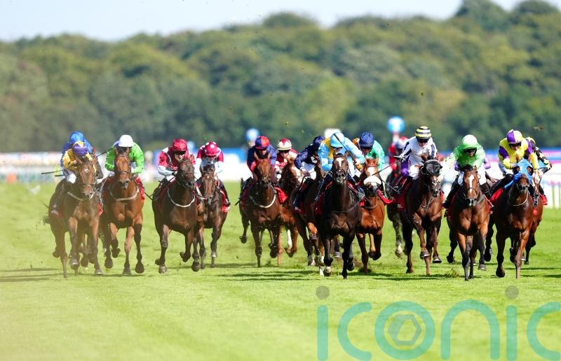 Portland hero Affair hunting Gold again at Ayr