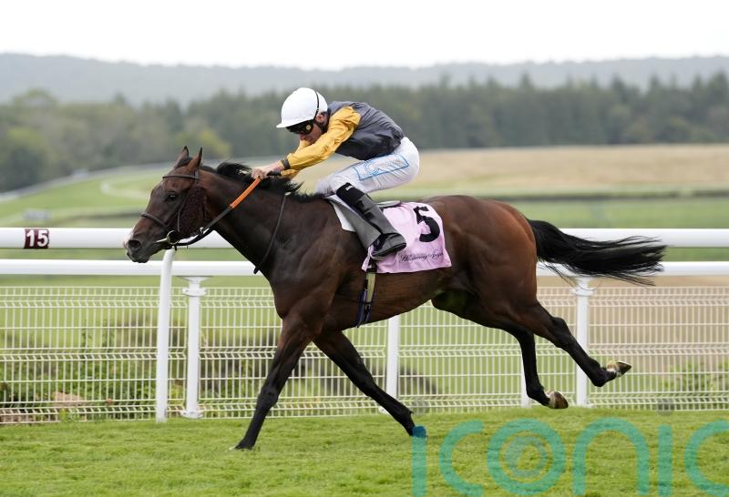 Witness Stand makes Tom Clover&rsquo;s day at Newbury