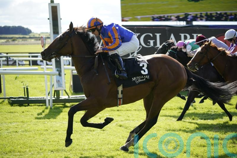 Lake Victoria in Cheveley Park mix for Aidan O&rsquo;Brien