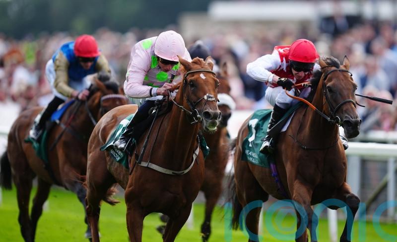 Clover backing Al Nayyir to bloom in Rose Bowl