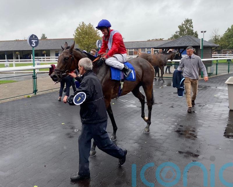 Formal seeking final Rockfel success for Stoute