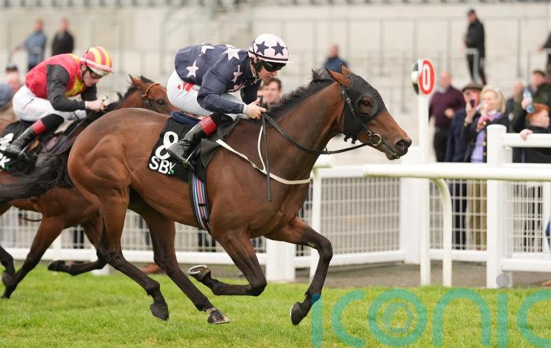 My Mate Alfie too good for Renaissance rivals