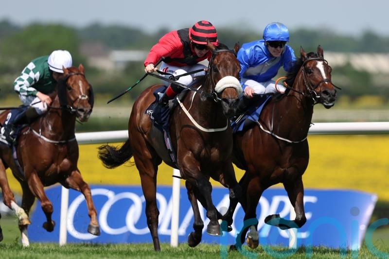 Mutasarref charts winning path in Navigation Stakes