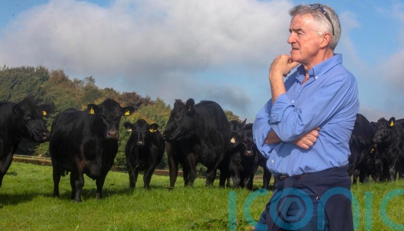 Michael O&rsquo;Leary &lsquo;astonished&rsquo; by green power of his farm&rsquo;s solar panels
