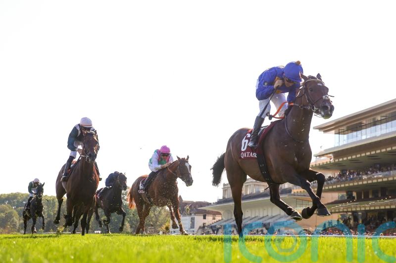 Fantastic Moon on international travels in search of faster ground