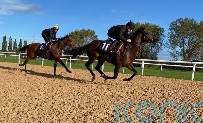 Big Evs prepares for Breeders&rsquo; Cup bid with Southwell gallop