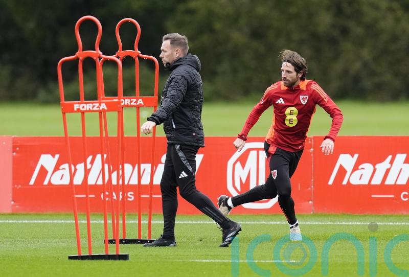 Craig Bellamy says &lsquo;romantic&rsquo; Montenegro return for Joe Allen would be a gamble