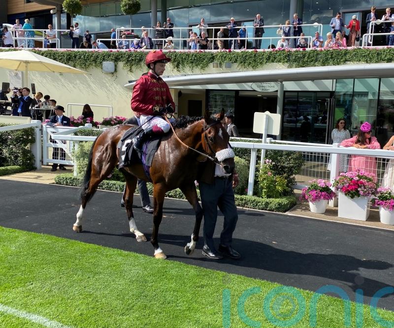 Century seeking to break New ground for Balding