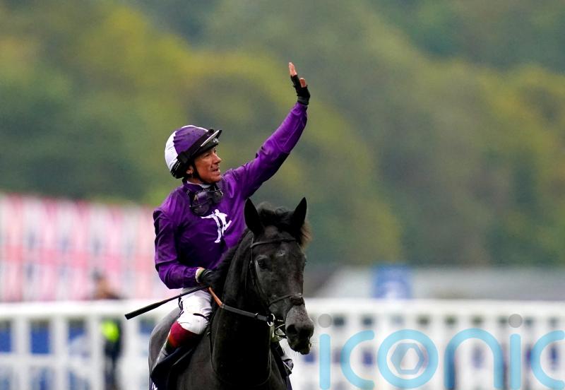 King Of Steel retired to stud in Ireland