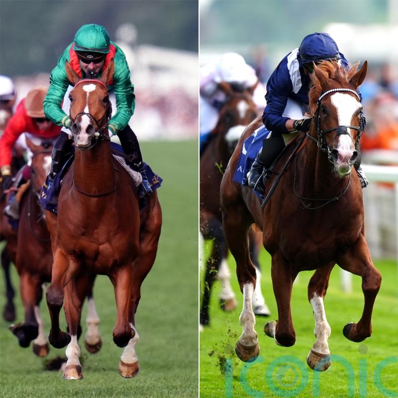 Calandagan and Economics primed for Champion Stakes battle