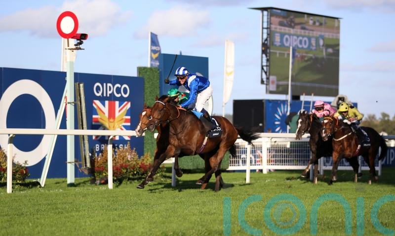 Outsider Anmaat stuns Champion Stakes field