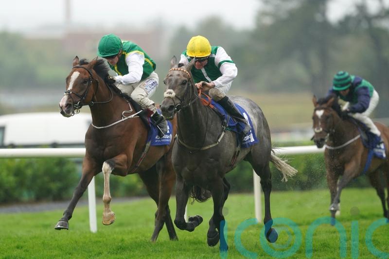 Williams has high hopes for Aqwaam next year