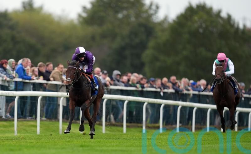 Tuscan Hills too good for Silver Tankard rivals