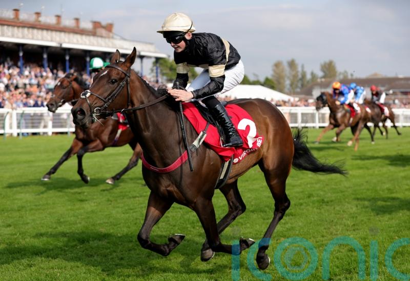 Prolific Alfa Kellenic embarks on deserved winter break