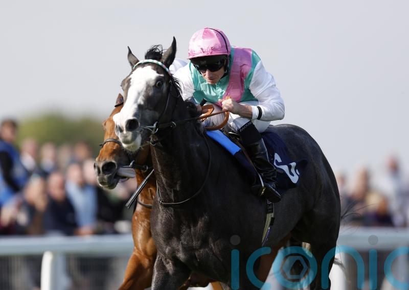 Derby prospect Nightwalker moving yards with Stoute retirement