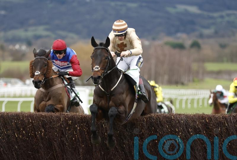 Broadway Boy primed for Cheltenham opening act