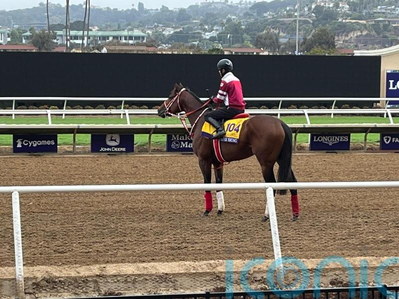 Yahagi has every faith Forever Young is ready for Classic battle