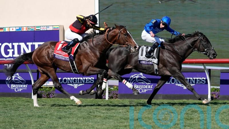 Rebel&rsquo;s Romance is Turf king again for Appleby and Buick