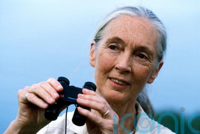 Leading environmentalist hails Irish coffee company for sustainability projects