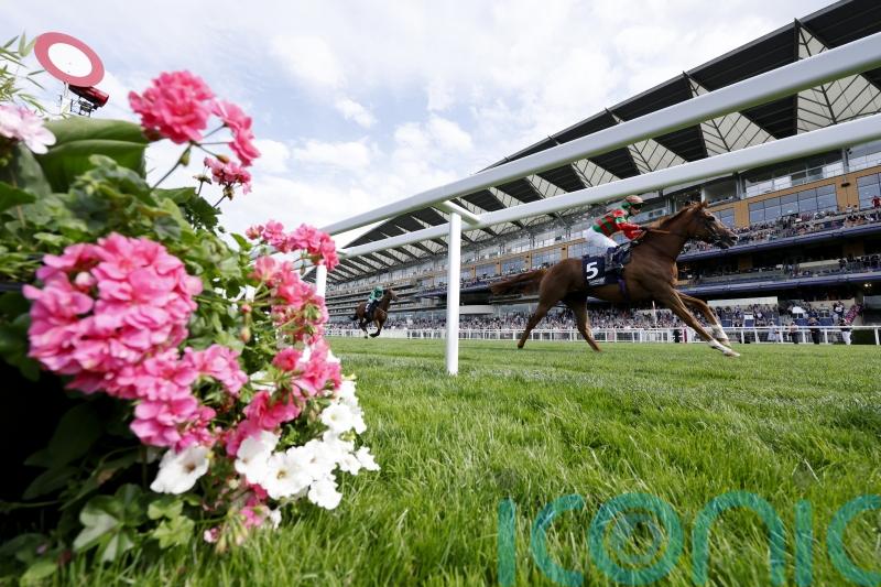 Miller Spirit out to extend winning run at Doncaster