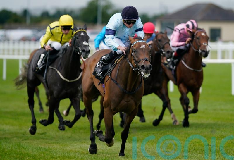 Believing set to light up sales ring