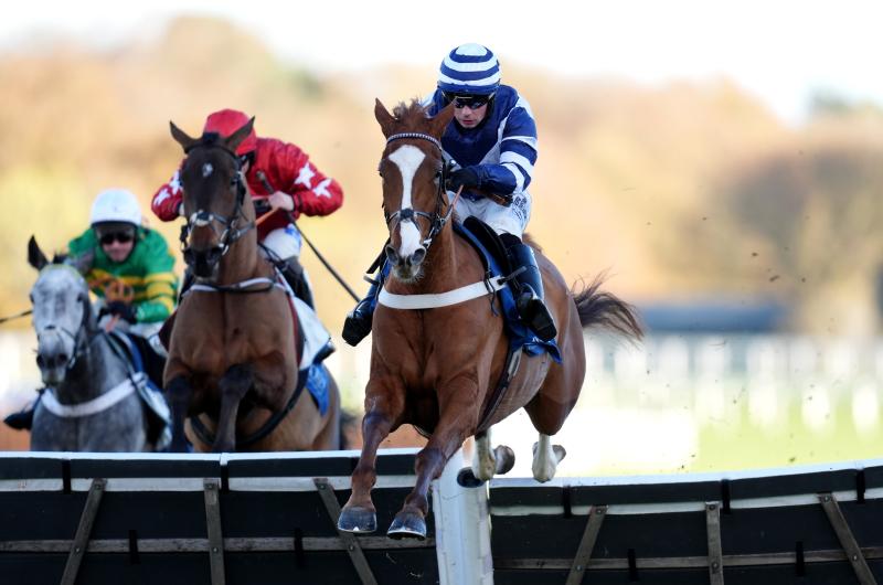 Celtic Dino delivers in style at Ascot