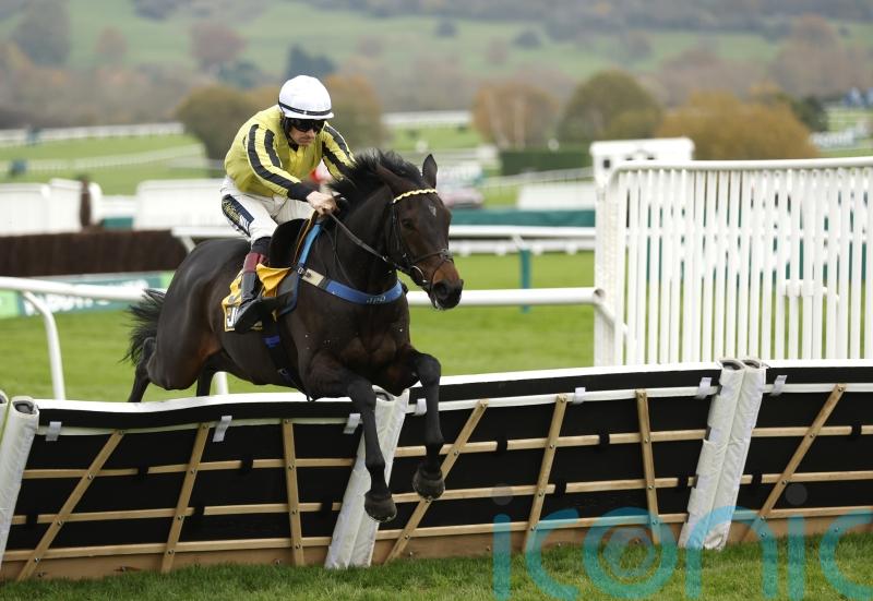 All roads lead to Cheltenham for Gredley Festival hopes