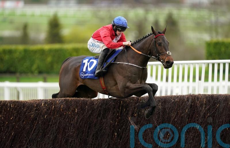 Quilixios primed for Tingle Creek and &lsquo;pretty adaptable&rsquo; ground-wise