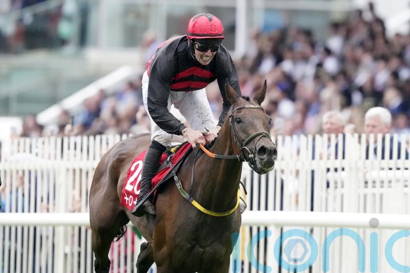 Pinkerton poised for December Gold Cup Cheltenham raid