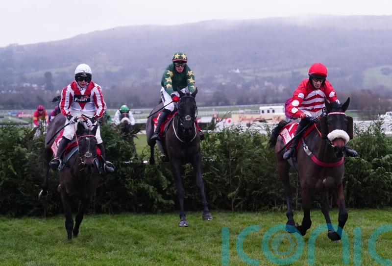 Donoghue delivers another Cross Country masterclass on Stumptown