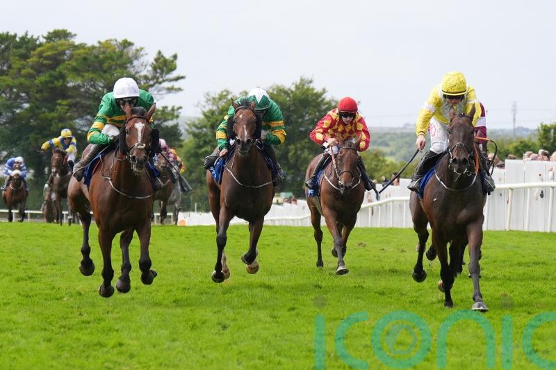 Elliott has faith in &lsquo;improving&rsquo; Ascot contender The Wallpark