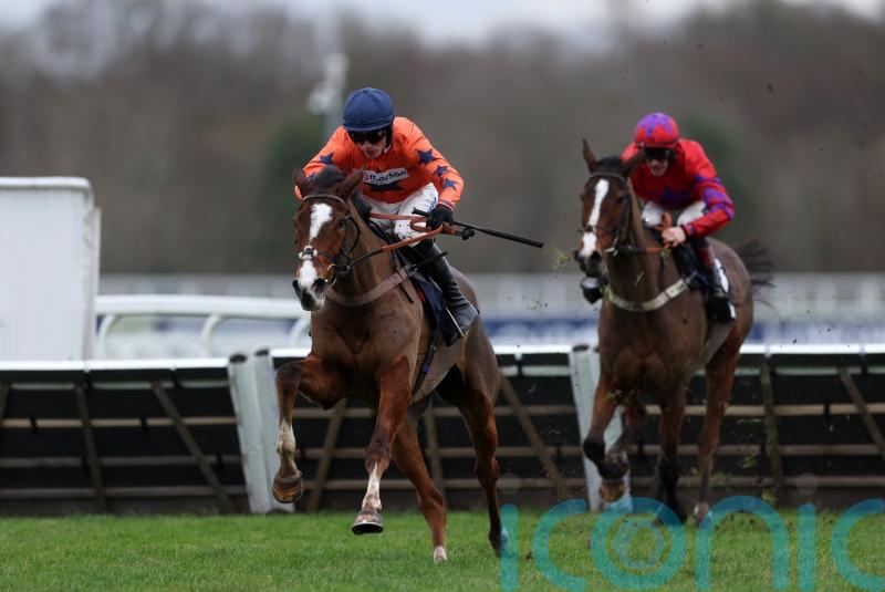 Ascot winner Belliano &lsquo;very much one for the future&rsquo;