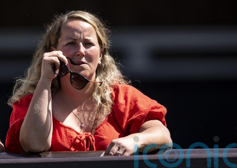 Needlepoint has Amy Murphy California dreaming