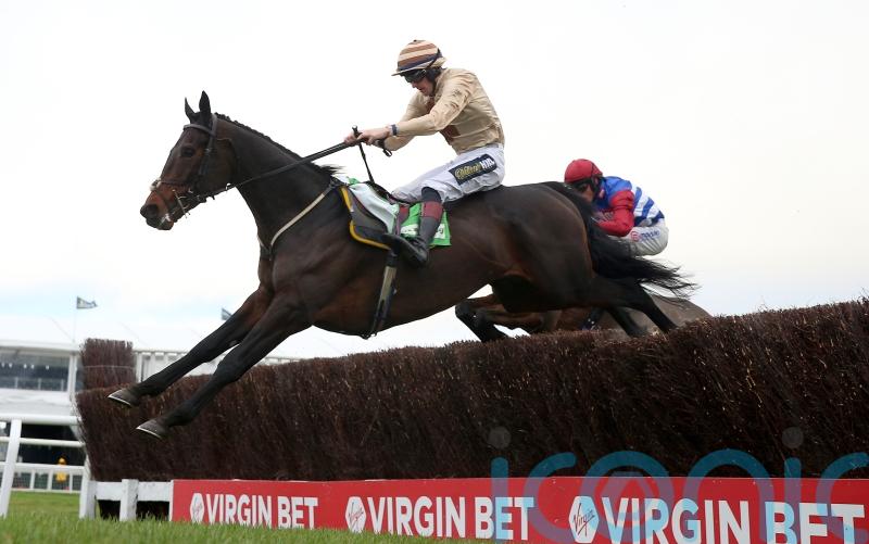Broadway Boy looking to take leading role at Cheltenham again