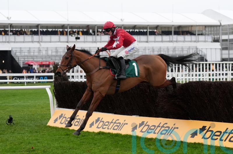 Kalif Du Berlais impresses with Cheltenham strike