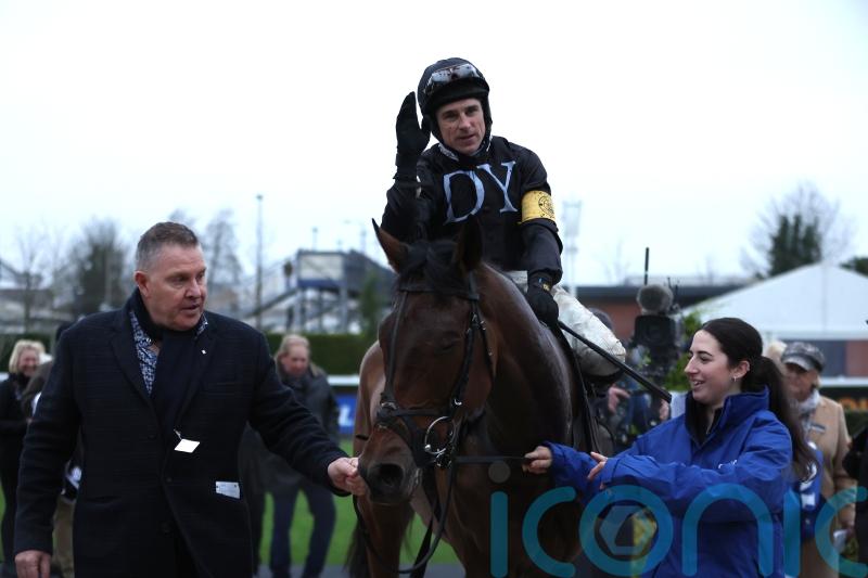 Rising star The New Lion snapped up by JP McManus