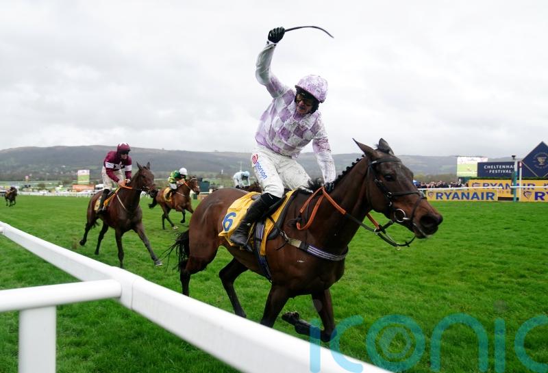 Golden Ace set to move down in distance for next outing