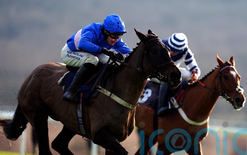 Juby gets the Ball rolling with impressive jumping bow