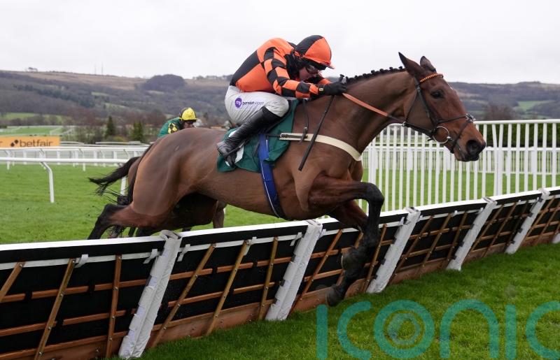 Pauling hopeful Diva Luna will be on song at Cheltenham