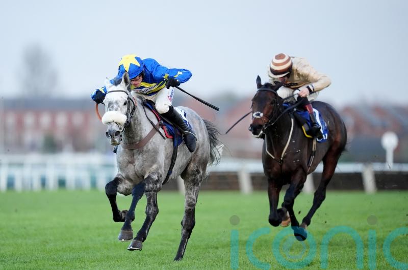 Nicholls to wait for National weights with Kandoo Kid