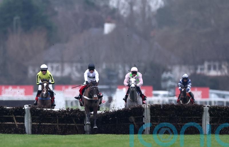 Constitution Hill and Lossiemouth possible for Cheltenham rematch