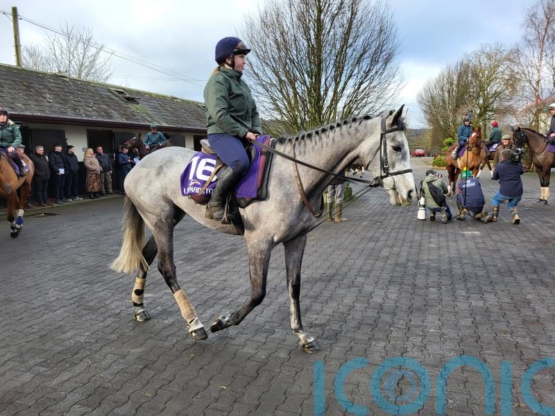 Mullins to make late call on Cheltenham or Leopardstown for Lossiemouth