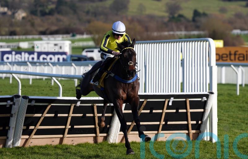 East India Dock delivers again in Triumph Trial at Cheltenham