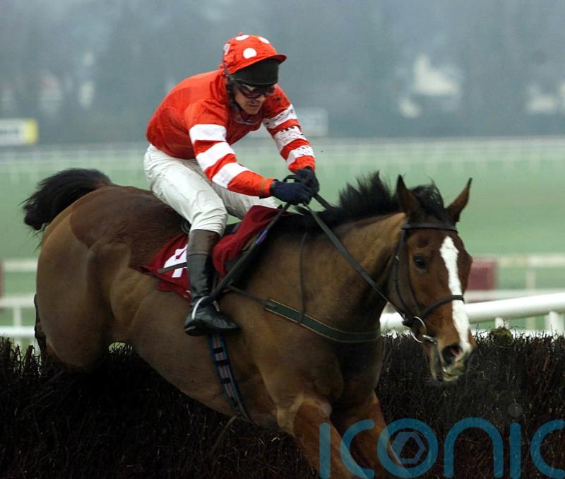 Florida Pearl the undisputed king of the Irish Gold Cup