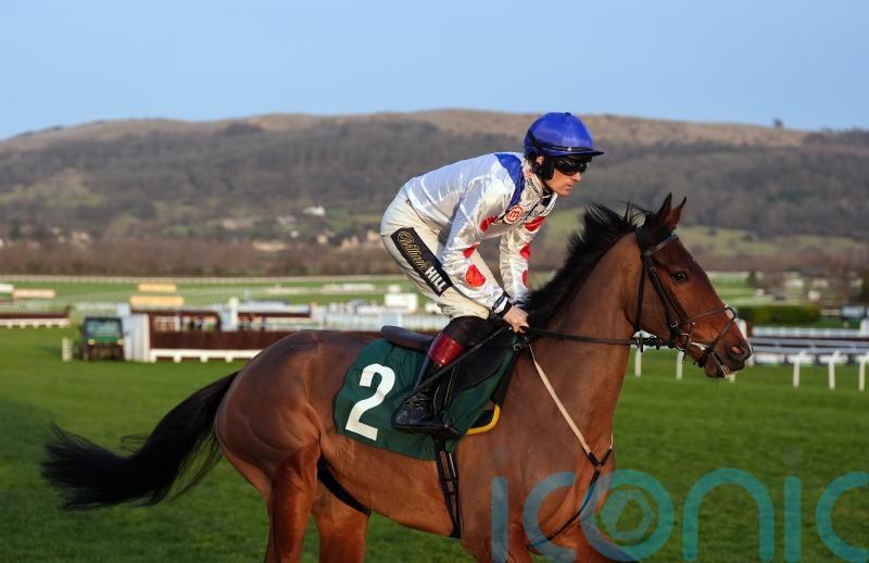 Potters Charm team expecting &lsquo;different horse&rsquo; at Festival