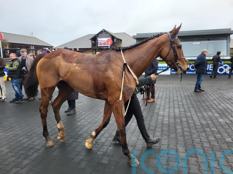 Back-in-action Maughreen makes no mistake on jumping bow