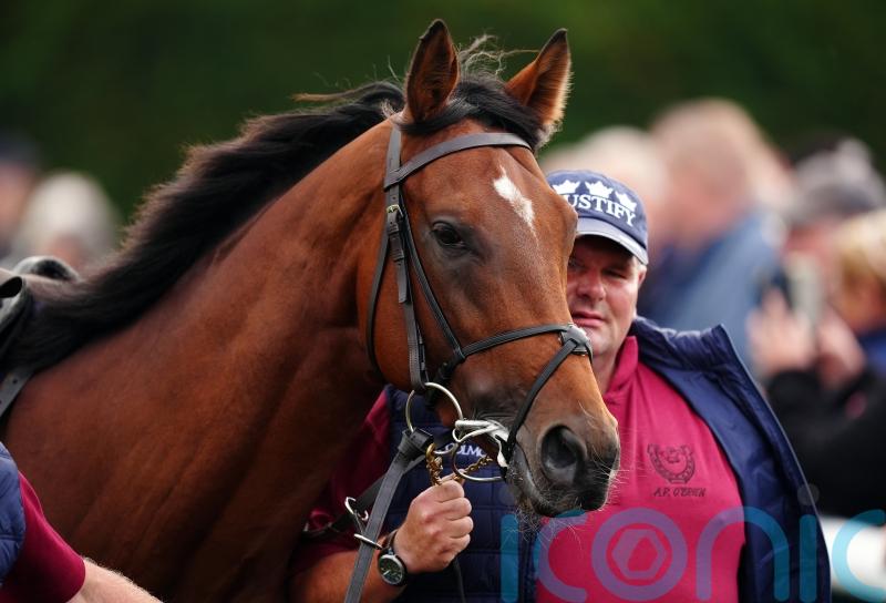 Coolmore thrilled with initial response to superstar rookie stallions