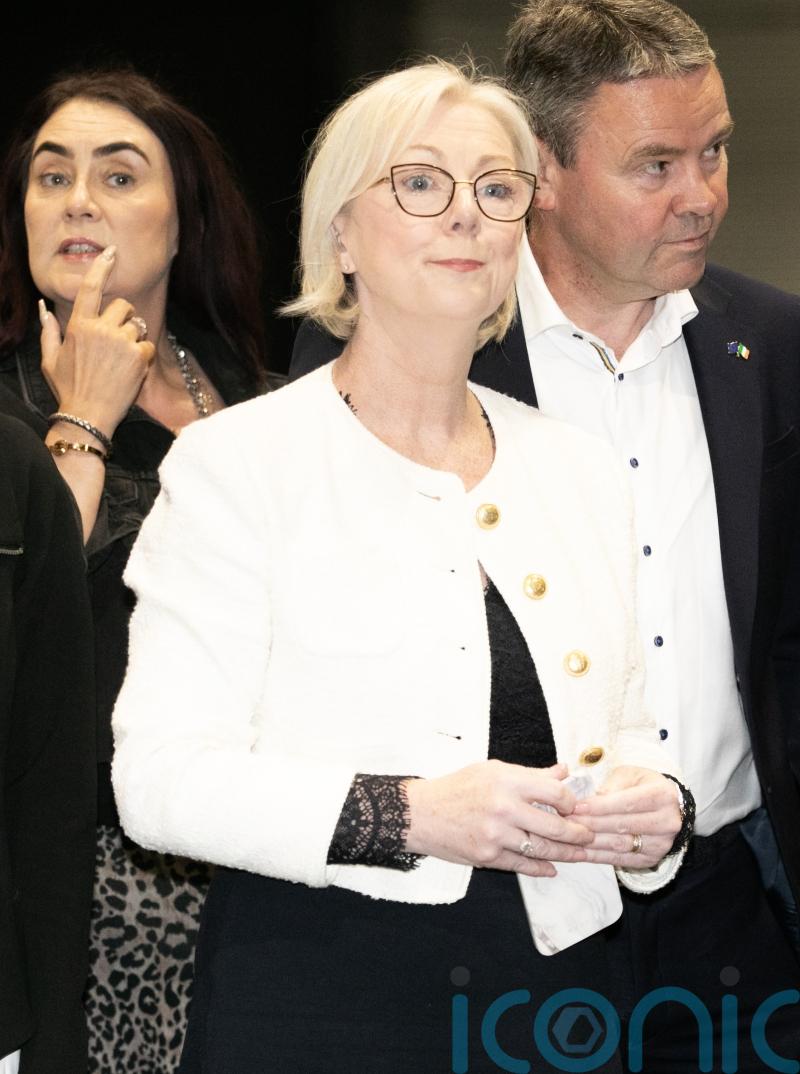 Two Irish MEPs appointed as deputies of EU committee on housing crisis